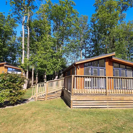 Kingfisher * Skipton